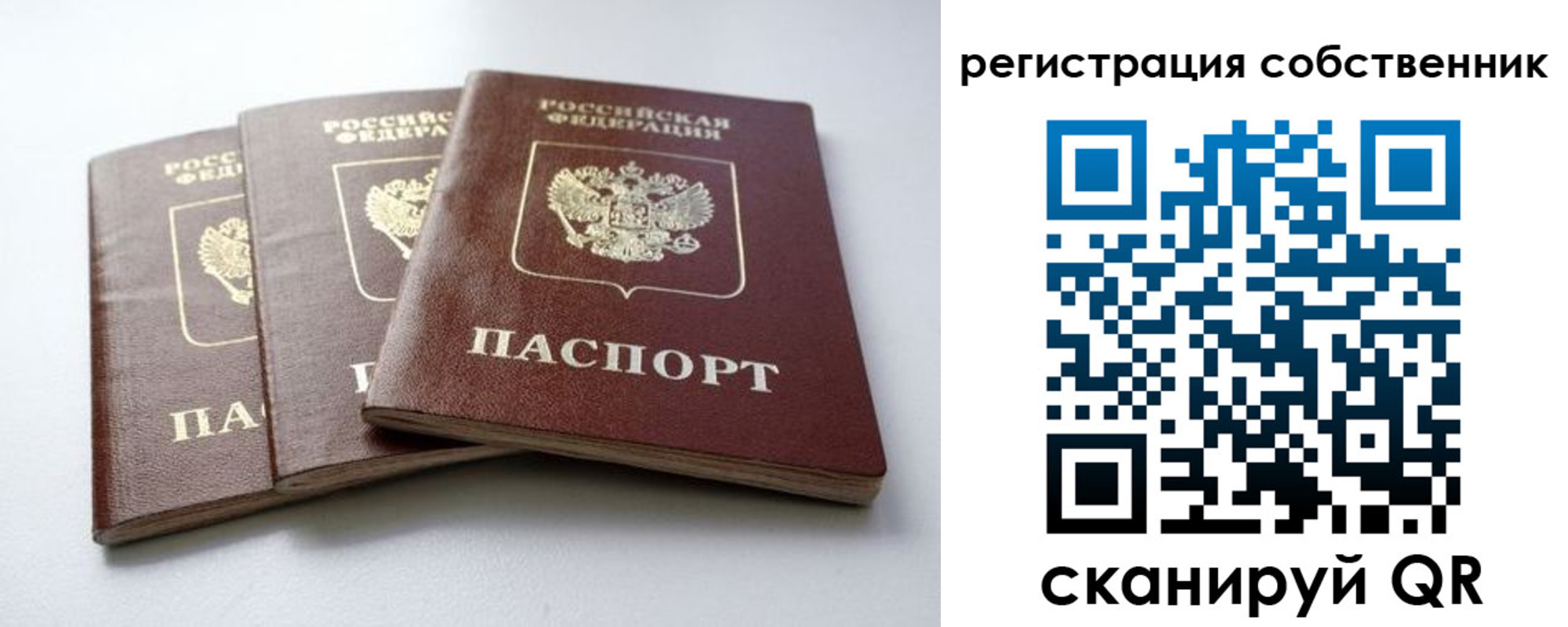прописка для школы в Ненецком АО